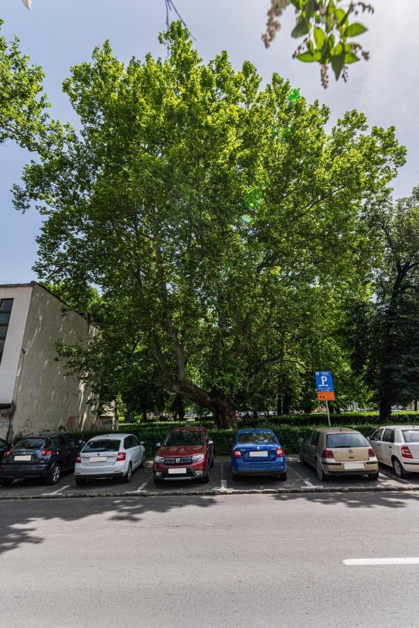 Sabin Apartments Private Parking Brasov Ngoại thất bức ảnh